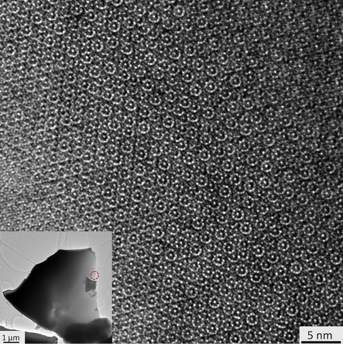 Obraz kwazikryształu, Al71Ni24Fe5, znalezionego w meteorycie. Fot. Paul J. Steinhardt et al. - http://www.nature.com/srep/2015/150313/srep09111/full/srep09111.html, Wikipedia