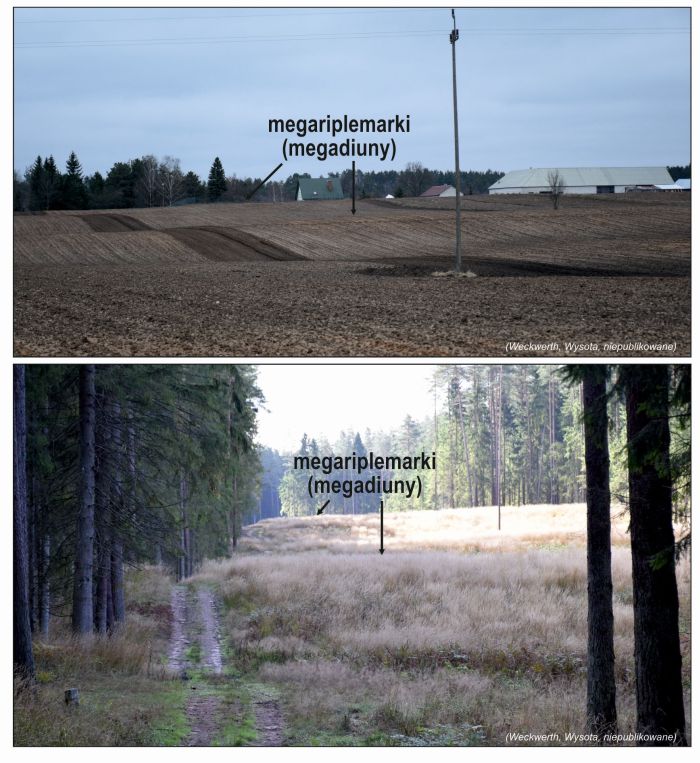 Przykłady megariplemarków na południe od Suwałk i w rejonie jeziora Wigry. Źródło: Piotr Weckwerth, Wojciech Wysota 