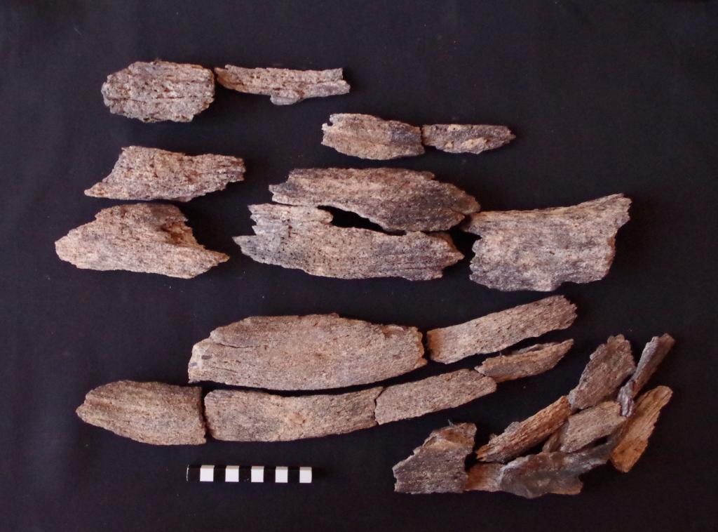Fragmenty możdżenia znalezione w skupisku kości w Affad w Sudanie. Fot. M. Osypińska