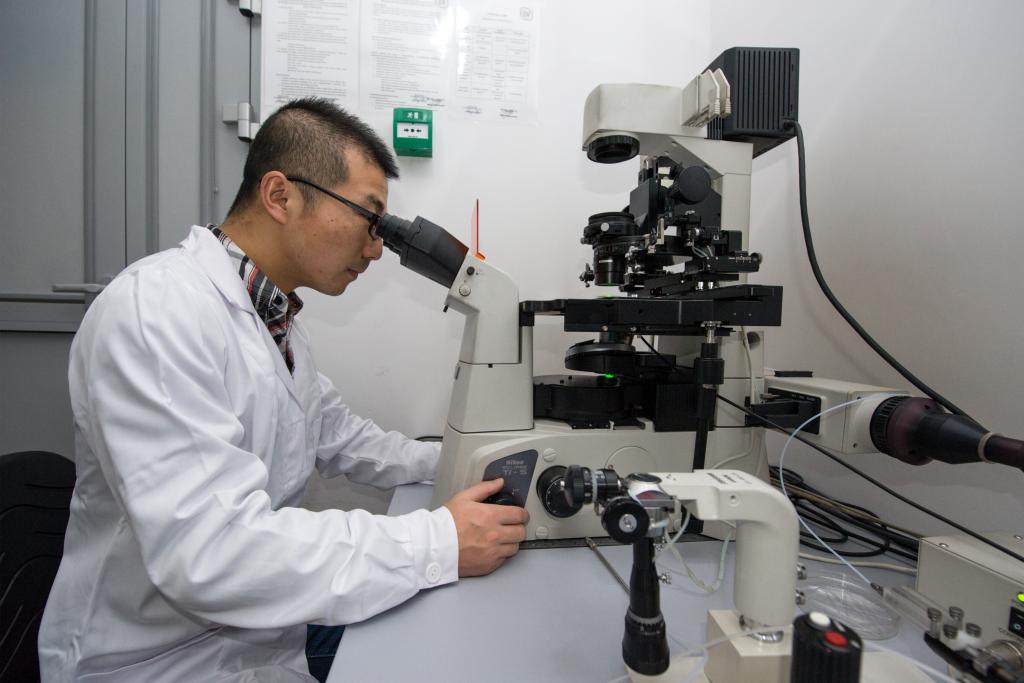 W Instytucie Chemii Fizycznej Polskiej Akademii Nauk w Warszawie pokazano, jak za pomocą superrozdzielczej mikroskopii korelacji fluorescencji śledzić przebieg reakcji chemicznych w niezwykle małych objętościach, porównywalnych z rozmiarami jąder komórkowych. Na zdjęciu doktorant Xuzhu Zhang w laboratorium. Źródło: IChF PAN, Grzegorz Krzyżewski