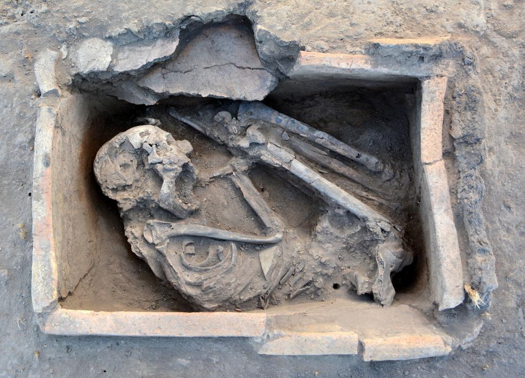 Ciała zmarłych były silnie zgięte w trumnach ceramicznych w Tell el-Murra, fot. E. Kuciewicz