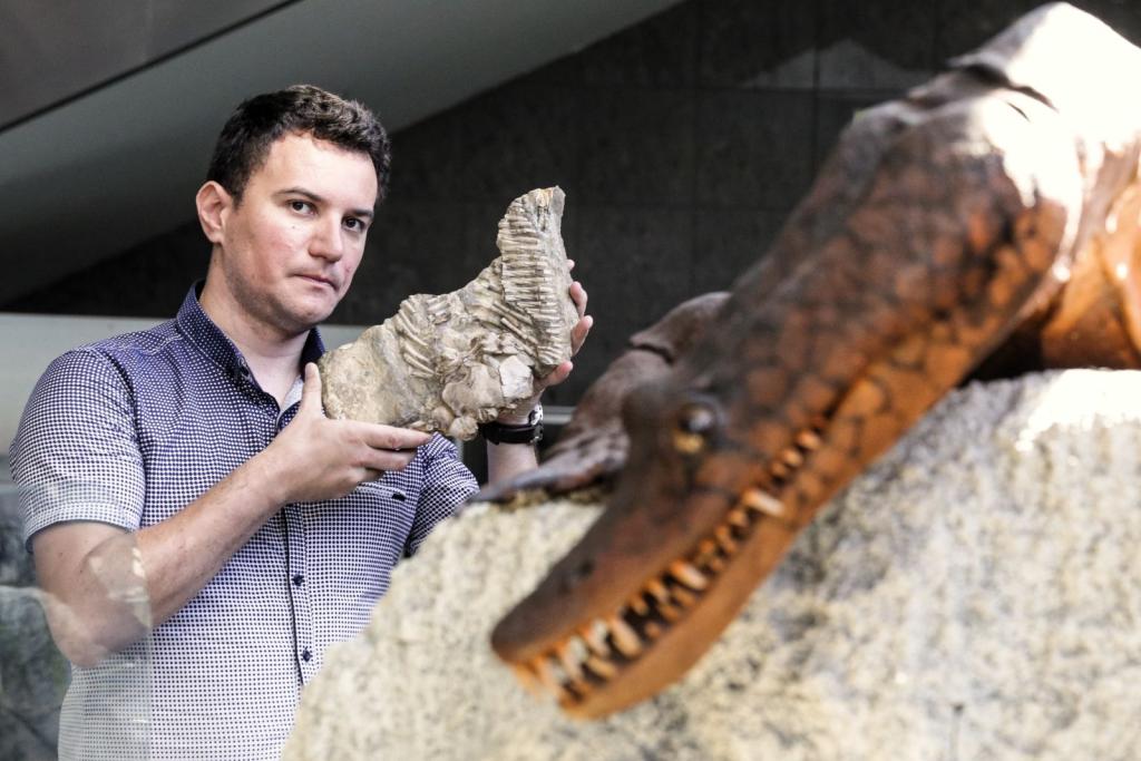 Paleontolog Dawid Surmik prezentuje na Uniwersytecie Śląskim fragment szkieletu proneustikozaura, morskiego gada sprzed 245 milionów lat odkrytego na przełomie XIX i XX wieku w Gogolinie. Fot. PAP/Dominik Gajda  07.06.2018