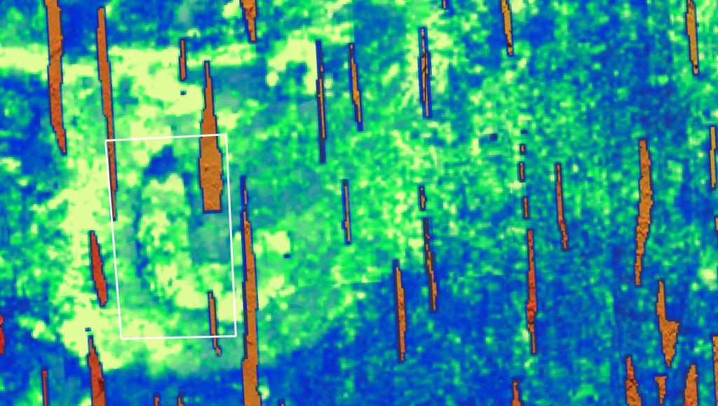 Zarys wraka zalegającego kilkadziesiąt centymetrów pod dnem, widoczny dzięki analizie danych z parametrycznego profilera osadów dennych (wykonał Jens Lowag)