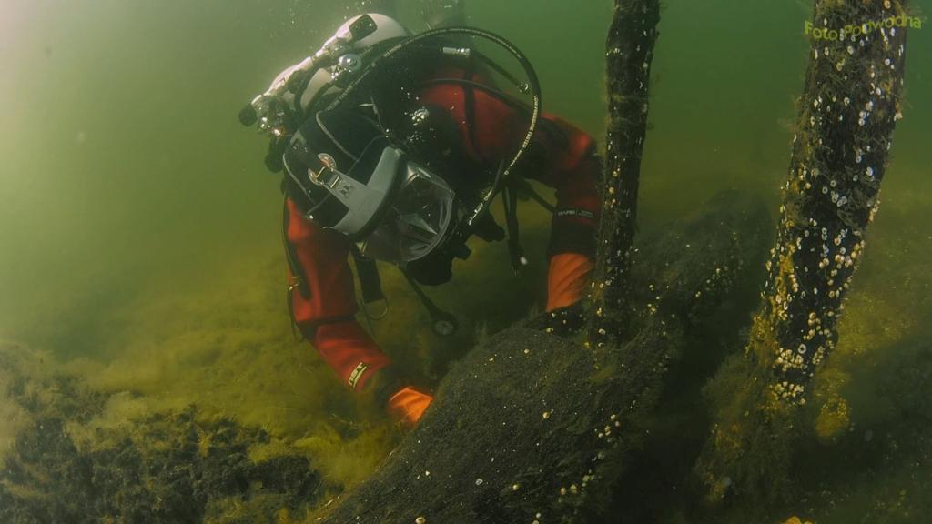Archeolog podwodny badający konstrukcje drewniane wczesnośredniowiecznego portu. Fot. Marcin Trzciński