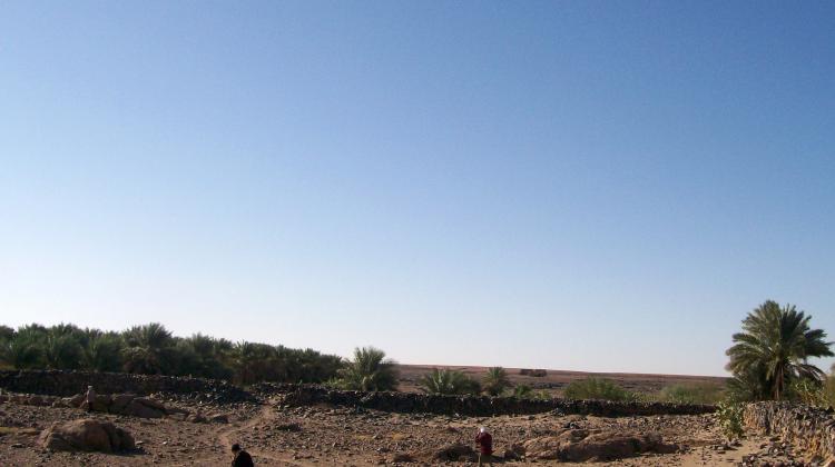 Badania w ramach projektu Fortece Sudanu, fot. M. Błażejewska
