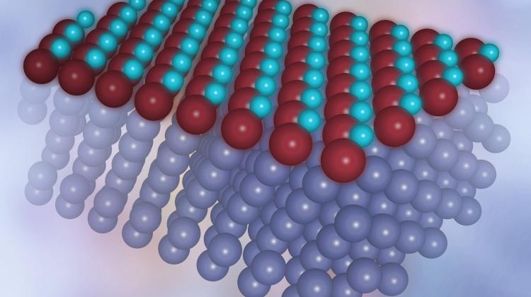 Komputerowa wizualizacja pojedynczej warstwy nowej odmiany tlenku żelaza, osadzonej na podłożu platynowym. Atomy żelaza w kolorze brązowym, atomy tlenu w kolorze błękitnym. (Źródło: IFJ PAN) 
