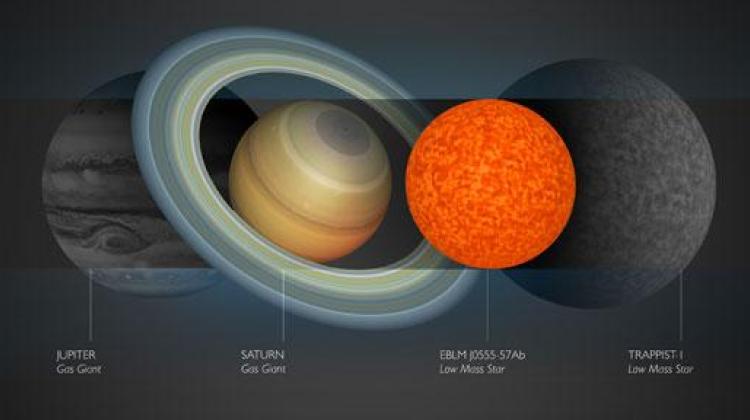 Porównanie rozmiarów Jowisza, Saturna i gwiazd EBLM J0555-57Ab oraz TRAPPIST-1. Źródło: University of Cambridge/Boetticher et al 