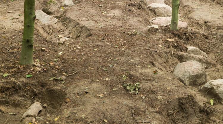 Monumentalny grobowiec sprzed blisko 6 tys. lat badają archeolodzy w Dolicach. Fot. PAP/Jerzy Muszyński 21.08.2017