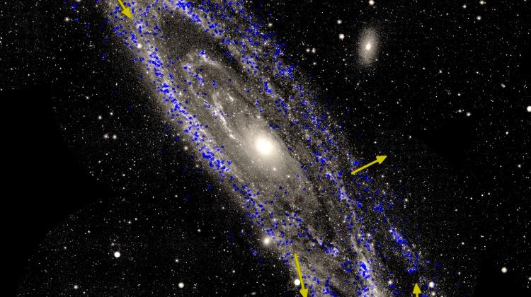 Galaktyka w Andromedzie (M31). Strzałkami zaznaczono kierunki ruchu poszczególnych obszarów galaktyki, a niebieskie punkty to gwiazdy wykorzystane do pomiarów przez kosmiczne obserwatorium Gaia. Źródło: ESA/Gaia (ruchy gwiazd); NASA/Galex (zdjęcie w tle); R. van der Marel, M. Fardal, J. Sahlmann (STScI).