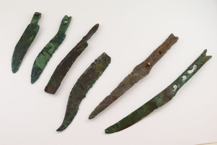 Noże z brązu odkryte w bagnie, fot. A. Rausch/Novetus.