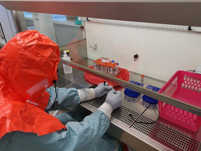 Aby wykonać testy na koronawirusa potrzebny jest nowoczesny sprzęt i wykształcona kadra. Źródło: Centralny Szpital Kliniczny Uniwersytetu Medycznego w Łodzi