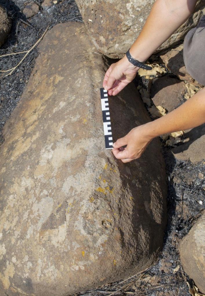 Głaz z rytem przedstawiającym węża znaleziony w pobliżu grobowca megalitycznego z wczesnego brązu I (3600-2800 p.n.e.)