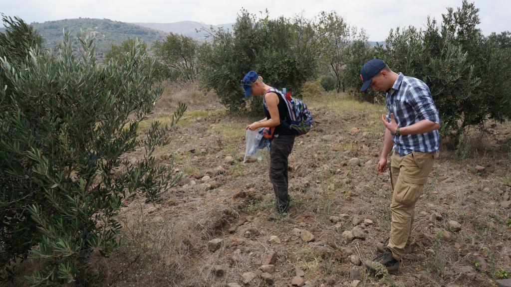 Archeolodzy poszukują zabytków w gaju oliwnym w prowinicji Akkar (fot. S. Rempel).