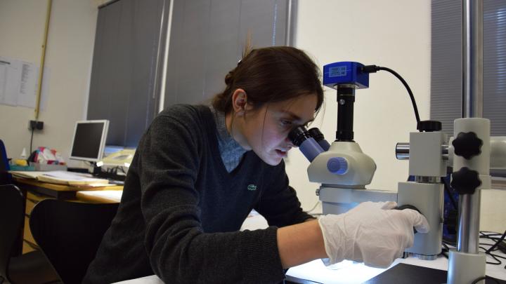 Doktorantka przy pracy z mikroskopem optycznym, fot. J. Trzciński