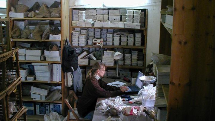 Dr hab. Anna Wodzińska przy pracy w magazynie z setkami tysięcy skorup ceramicznych, fot. archiwum prywatne
