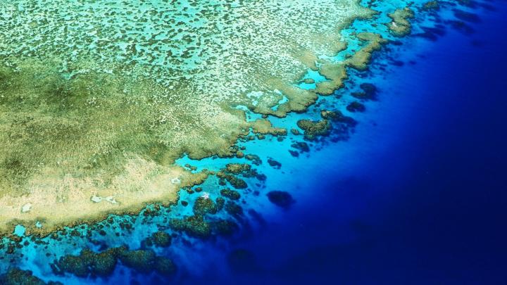 UNESCO: Marea Barieră de Corali trebuie să fie inclusă pe lista patrimoniului mondial în pericol
