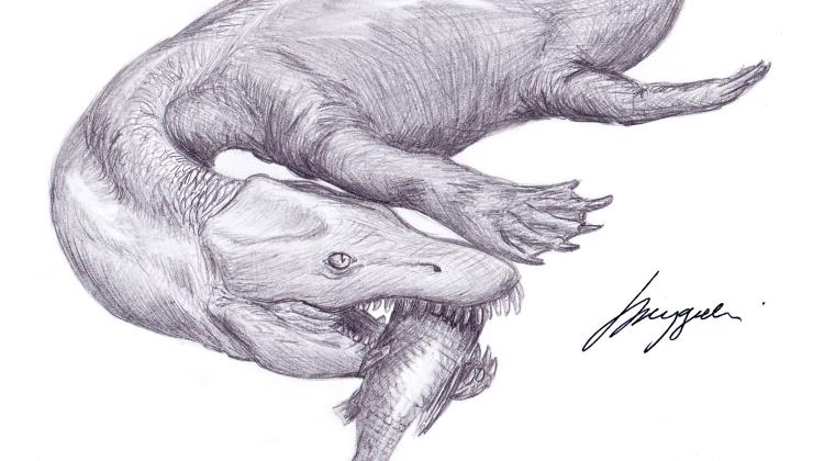 Rekonstrukcja gada z rodzaju Pistosaurus w trakcie polowania, rys. Tomasz Szczygielski