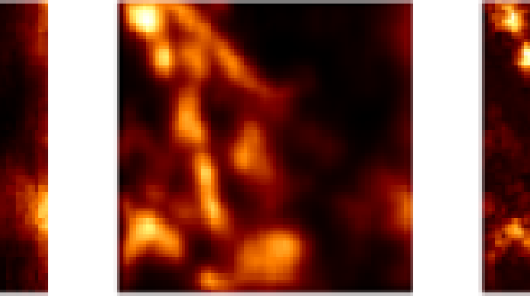 Próbka biologiczna: mikrotubule znakowane kropkami kwantowymi; od lewej obraz uzyskany: w standardowym mikroskopie, metodą ISM, metodą Q-ISM. Ilustracja wykonana na podstawie danych przedstawionych w suplemencie do publikacji “Super-resolution enhancement by quantum image scanning microscopy” w ,,Nature Photonics’’. (Źródło: Alexander Krupiński-Ptaszek, Wydział Fizyki UW)