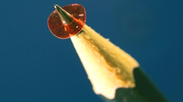 Fotografia rotora mikrosilnika o średnicy 5,5 mm, wykonanego z odpowiednio zorientowanego polimeru, na czubku ołówka. Źródło: Wydział Fizyki UW, fot Piotr Wasylczyk