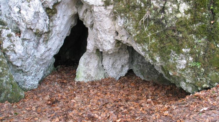 Widok na otwór wejściowy stanowiska Schronisko w Smoleniu III, w którym znaleziono szczątki neolitycznych kotów i żbików (zdjęcie Magdalena Sudoł-Procyk).
