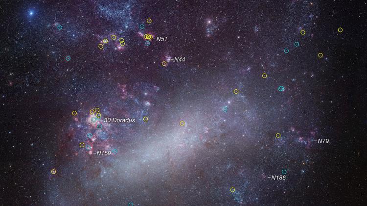 Wielki Obłok Magellana – galaktyka sąsiadująca z Drogą Mleczną. Na zdjęciu zaznaczono gwiazdy, które zostaną zbadane w ramach projektu ULYSSES. Dla tych oznaczonym żółtymi okręgami dostępne są dane archiwalne, a niebieskie okręgi wskazują nowe obserwacje. Źródło: NASA, ESA, J. Roman-Duval (STScI), R. Gendler.
