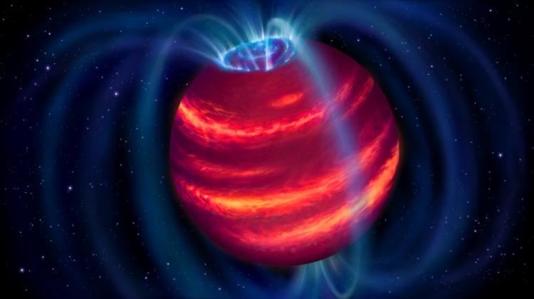 Artystyczna wizja zimnego brązowego karła BDR J1750+3809. Niebieskie pętle symbolizują linie pola magnetycznego. Naładowane cząstki poruszające się wzdłuż linii pola magnetycznego emitują fale radiowe, które może wykryć radioteleskop LOFAR. Źródło: ASTRON/Danielle Futselaar.