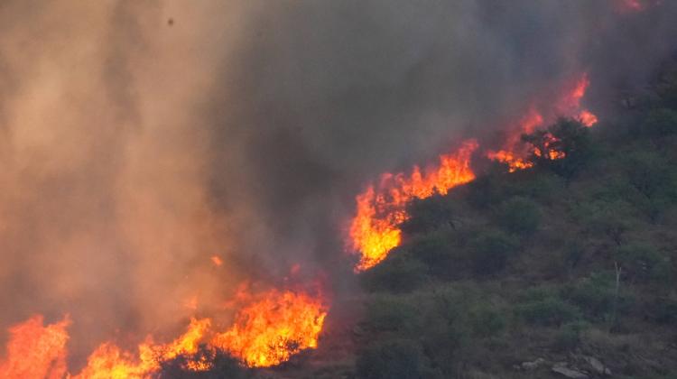 Pożary lasów w Córdobie w Argentynie. Fot. PAP/ EPA/ Lucho Casalla 11.10.2023